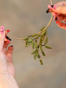 hX fB[X g ؕ  芪 | t  | і lbN J[ `Ci