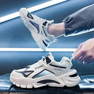 fB[X  T_  T_ AE^[ [}  \tg \[ t@bV X|[c 傫TCY C 41 43