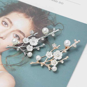 ANZT[ ~ u[` Ǝ w  GKg VF ~ nCGh ߗi WG[ RT[W