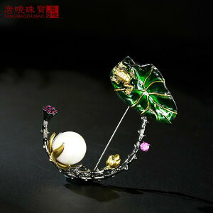 R[g fB[X u[` Ǝ w  WG[ JG @t g ؍ t@bV J[fBK RT[W GKg