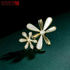 R[g fB[X u[` Ǝ w  nCGh VF fCW[ C t@bV J[fBK ؍ t@bV RT[W