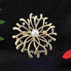 R[g fB[X u[` Ǝ w  }bgS[h R[ u` X[c RT[W s Mtg WG[