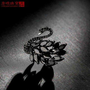 R[g fB[X u[` Ǝ w  ؍ Vv t@bV ubN X  J[fBK ͋C RT[W Io h 