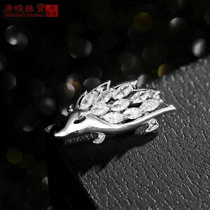 R[g fB[X  u[` Ǝ w  ؍ n lY~  t@bV J[fBK s Io h~  RT[W