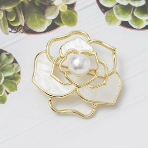 R[g fB[X u[` Ǝ w  ؍ Vv o VF RT[W p[ J[fBK