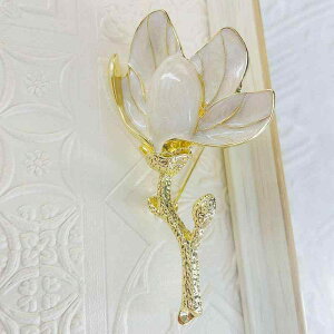 R[g fB[X u[` Ǝ w  Gi   J[ }OmA  A g {a RT[W s