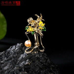 R[g fB[X u[`  X[c s  ґ t@bV  Gi u[c J[fBK I RT[W