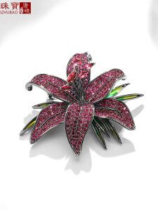 R[g fB[X u[`  nCGh  ۛ  I J[fBK RT[W w Ǝ