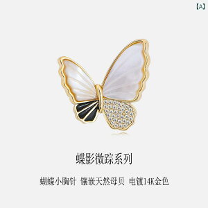 fB[X  ANZT[ u[`  w  e g[X VF  s Œ X[c