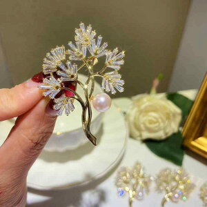 ANZT[ DIY p[ z_[  ZCR[   bL }CN ܑ WR A t p[u[`  s RT[W  z_[