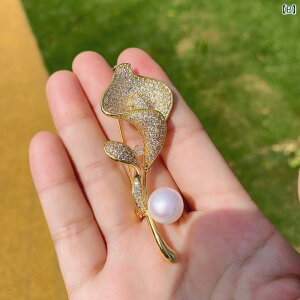 fB[X ANZT[ DIY p[Ȃ z_[ i ZCR[   bL }CN ܑ WR J[l[V p[u[` s obN RT[W  z_[