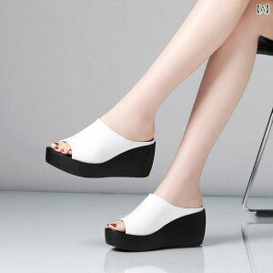 fB[X  ~[  v EFbW Xbp  vbgtH[  T_ nCq[ tBbV }EX