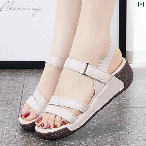 fB[X  JWA h v AE^[ EFbW }} T_ tbg Xbp  C V[Y