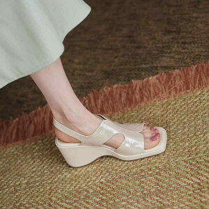 fB[X  JWA h  T_  v EFbW   nCq[ tFA[ X^C V[Y C X|WP[L ꕶ Xgbv