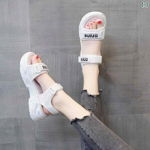 fB[X  T_ X|[c AE^[ w _炩  K r[` V[Y y C