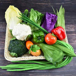 �H�i�T���v�� �t�F�C�N�t�[�h ���A�� ��� �ʕ� �p�� �v���X�`�b�N�� ���� �f�B�X�v���C �I�u�W�F �①�� �˒I ���� �m��ߋ� �c������ ������ �C���e���A �G��