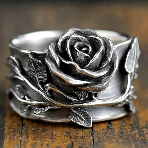 w jp ؕ Vv  I g o ԕ pNX^C dCbLH  Vo[ USTCY610Ή t@bVO 茳ANZT[