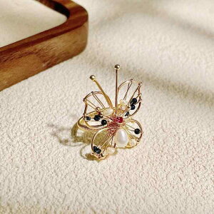 w fB[X  p[ Iȍ׍H nhCh I t[TCY I[vO GKg iȑ t@bVO