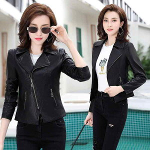 C_[XWPbg fB[X p rv U[ {v e[[hJ[ V[g XtBbg WbvAbv  ʋ GKg tH