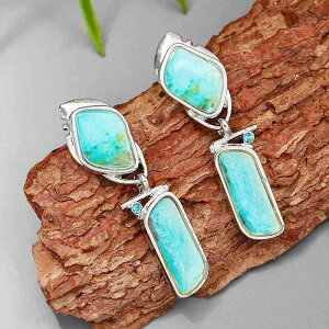 sAX Y fB[X jZbNX gO[ ^[RCY VR ăX^C tbNsAX h Ԃ 􉽊wfUC 