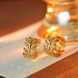 sAX fB[X ؍t@bV WRjA [t`[t K18dグ {^jJ GKg i  l