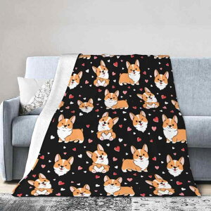 uPbg ybgp p yʃ^Cv tl ӂӂ G k I[V[Y \t@ xbh ItBX rO Q hbO 킢