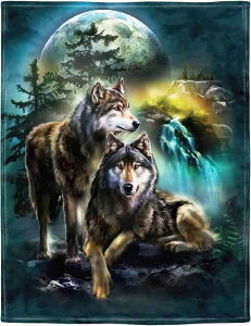 ѕz uPbg 炩 ӂӂ ɏ̔G r E[  g Ђ| \t@p xbh[ rO k  K