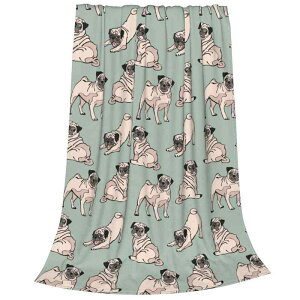 uPbg q WjA l  O[ tl |GXe ӂӂ  ۉ \t@Jo[ xbhJo[ I[V[Y y 􂦂 Q rO 