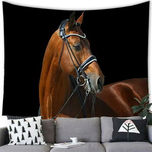 ^yXg[ uE ubN n 쐶 q  k |GXe A[g EH[fR[V Ǐ rO Q  _CjO CeA 