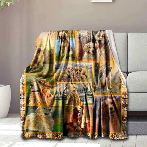 uPbg 킢 S[fgo[ tl Ƃ낯锧G Sn悢 |GXe \t@ rO ItBXp Ђ| ѕz I[V[Y 蕨 v[g