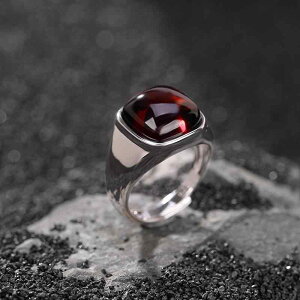 w fB[X p S925 Vo[  J ߉\ t[TCY g re[W Vv GKg i XNGA lp 􉽊w͗l t@bV ǂȕɂ