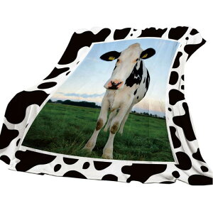 uPbg k  JE fW^vg \t@Jo[ }`Jo[ xbhX[ ʎg [΍ ۉ  I[V[Y |GXef 唻