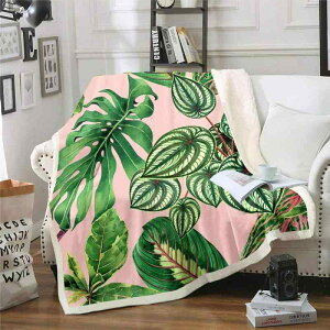 uPbg tl ӂӂ Ȃ߂炩G I[V[Y 􂦂 \t@Jo[ Ђ| }`Jo[ L̗t {^jJfUC |GXe y [΍