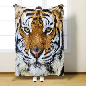 ѕz uPbg 3Dvg fW^vg Օ ^CK[ tl |GXe G I[V[Y Ђ| | Q \t@Jo[(x2)