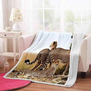 ѕz ʃt[X 3Dvg LN^[ Aj} qE |GXe ӂӂ Ȃ߂炩 g ItBX Q  lGp I[V[Y fXN[N K