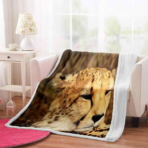 ѕz Aj} qE vg Ƃ낯锧G NX^xxbg y ItBX Q  Ђ| Ԓ lGp I[V[Y |GXe uPbg