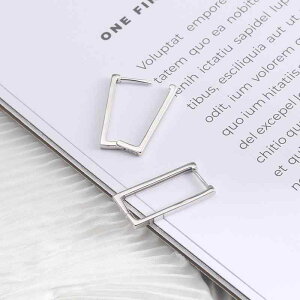 sAX fB[X S925  Vo[ ؍ t@bV Vv 􉽊w XNGA t[vsAX \  fC[ lq v`iJ[