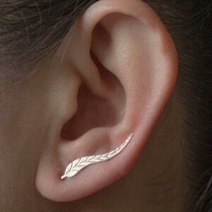 sAX fB[X p ؍  nhCh [t t fUC ^ i @ CXg[  JWA ItBX CO S[h Vo[