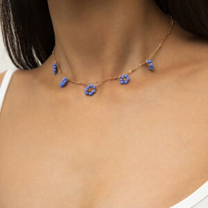 lbNX fB[X g GXjbN  t[ ăr[Y I Vv  JWA i` tF~j zCg p[v