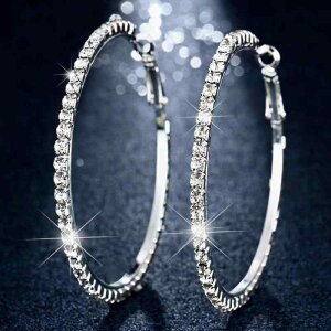 sAX fB[X t[vsAX Vo[|Xg Ԃ 炫 CXg[ WRjA ܗ dCbLH Vo[J[ l킢 GKg  ig ItBX 