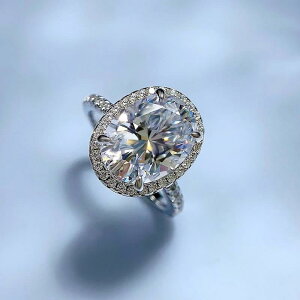 w fB[X I[o Vo[ dCbLH  Vv  fUC I t@bV ItBX ʋ ig 