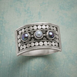 w fB[X O ĕ t@bV g  􉽊w͗l  AeB[NVo[ Vv ʋ ItBX