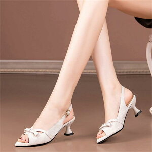 T_ fB[X p _炩f ~hq[ sq[ s[vgD obNXgbv v S AC{[  t@bV ItBX JWA o }}