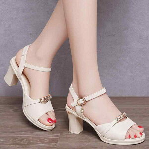 T_ fB[X \tgU[ ~hq[ q[ CXg[ Xgbv ANXgbv I[vgD ʋ ItBX rWlX ig ₷ 芴  