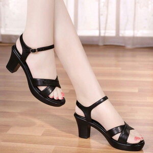 T_ fB[X y K NbV ~ _炩PUU[  ~hq[ I[vgD Xgbv obN vbgtH[ {vCi[ [}X^C }}T_