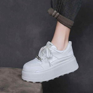 Xj[J[ fB[X {v  y  zCg EhgD [XAbv JWA ig fC[[X ʋ ʊw ₷ ɂ AS ~hJbg t