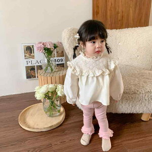 xr[ ̎q  c ؍t@bV JWA  uEX gbvX pc ZbgAbv ㉺Zbg 2_Zbg    n [X tH AވS