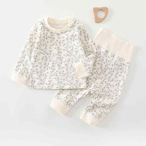 xr[Ci[ xr[EFA jp Ԃ ۉ  100% Rbg 炩  ㉺Zbg ZbgAbv nCEGXg tH pW} [EFA ԕ