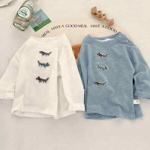 pW} LbY xr[ jp 100% K 炩 ɗD t ێ  [EFA QԒ ㉺Zbg LN^[ 킢 JWA zCg u[ c