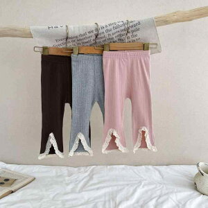 pc xr[ ̎q tH Rbg OXbg ԕ[X tAVGbg EGXgS JWA ؍ Y{ {gX c